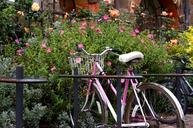 Bicycle propped against railings