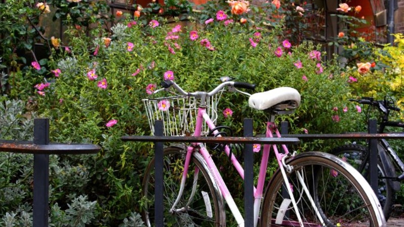 Bicycle propped against railings