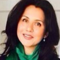 Dr Maryam Tanwir appointed High Level Track Facilitator at the World Summit on the Information Society Forum